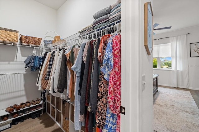 walk in closet featuring hardwood / wood-style flooring