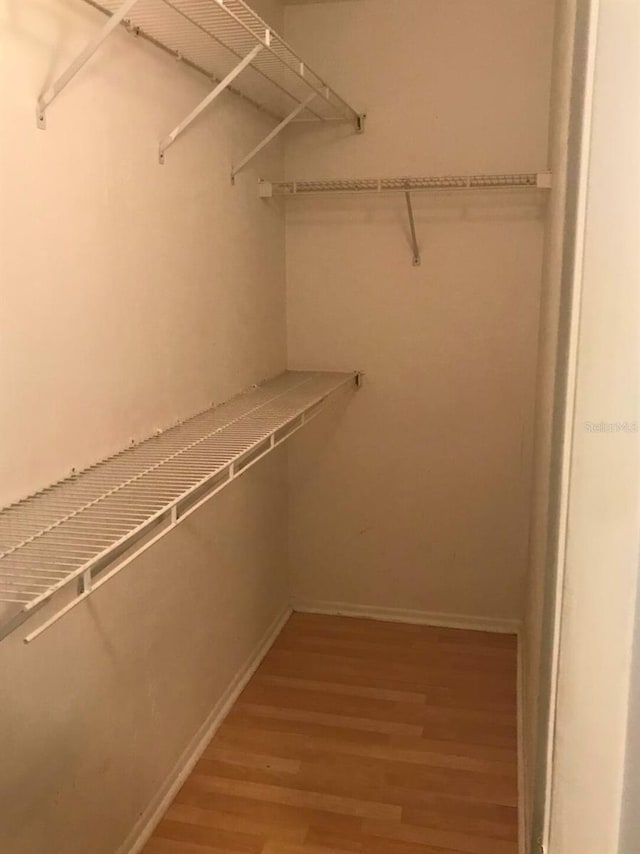 spacious closet featuring hardwood / wood-style flooring