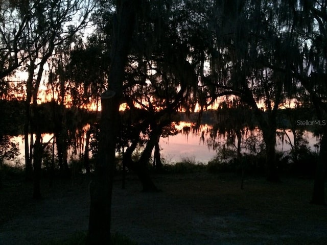 nature at dusk featuring a water view