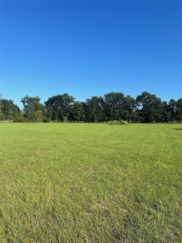 view of yard featuring a rural view