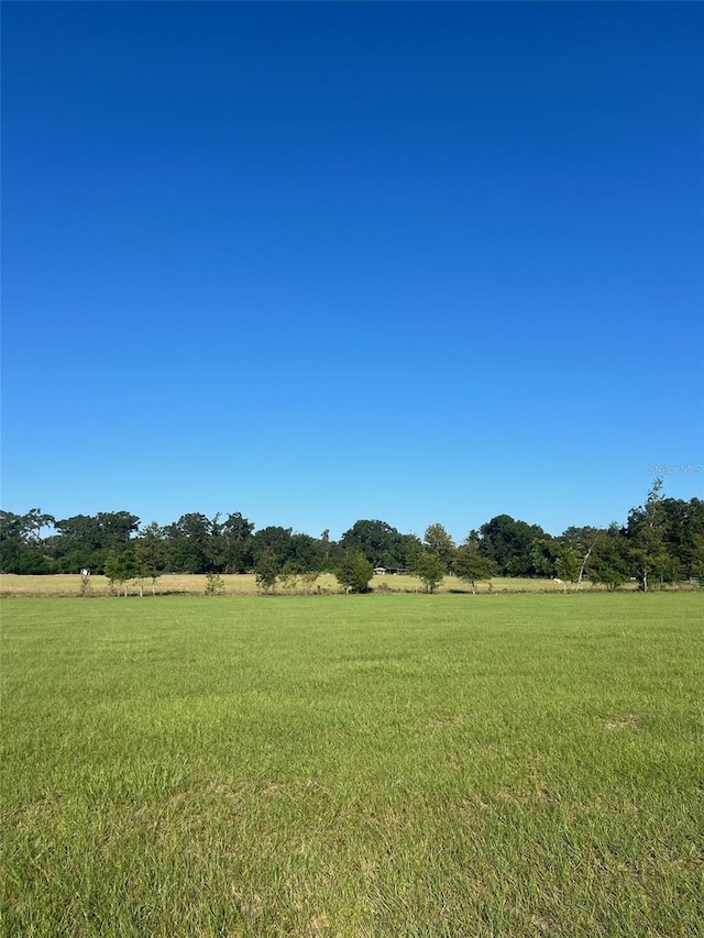 view of yard with a rural view