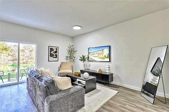 living room with hardwood / wood-style flooring