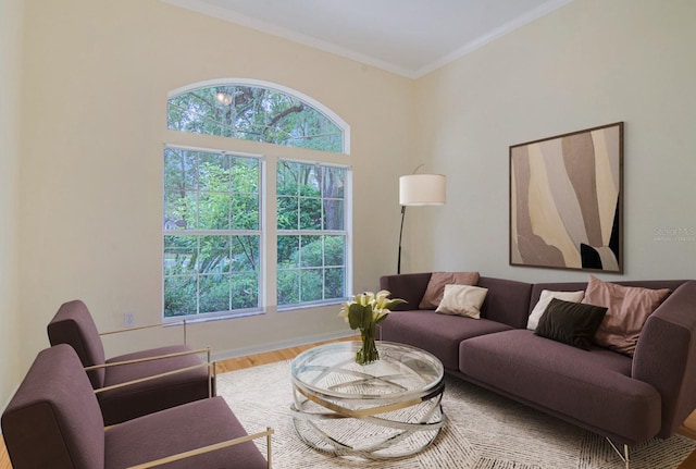 living room with ornamental molding and hardwood / wood-style floors