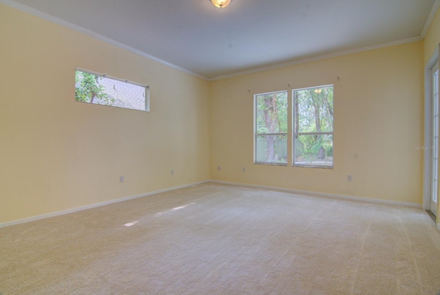 spare room featuring ornamental molding, a wealth of natural light, and light colored carpet