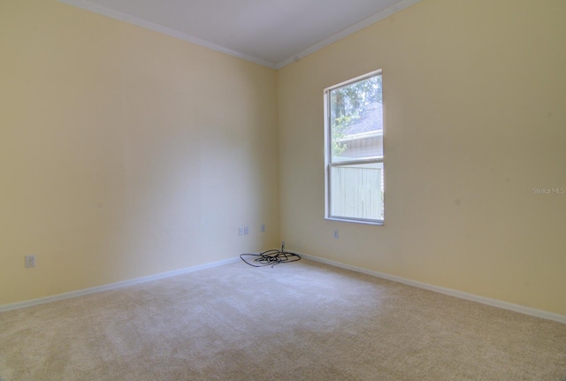 spare room featuring light carpet and crown molding