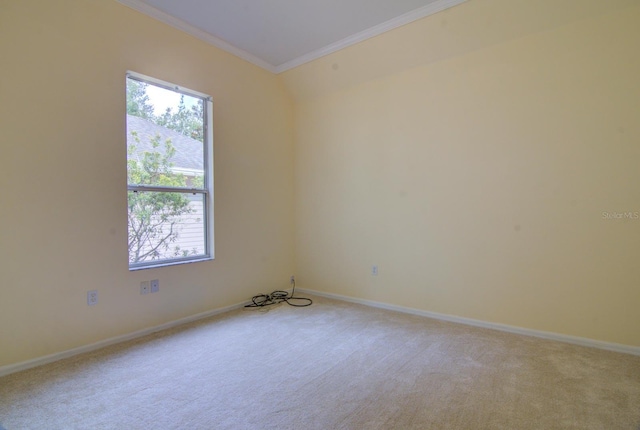 carpeted spare room with crown molding