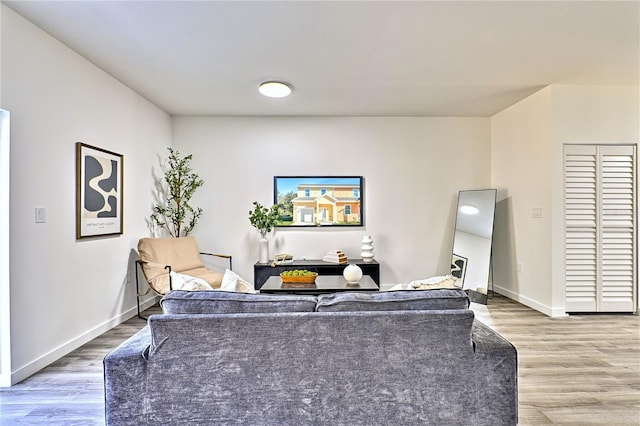 living room featuring wood-type flooring