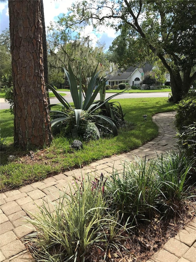 view of property's community with a yard