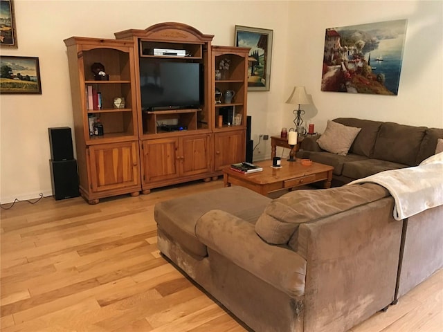 living room with light wood-type flooring