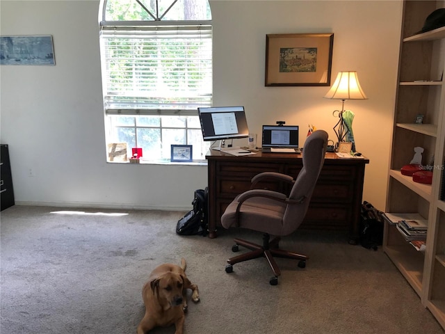 view of carpeted office space