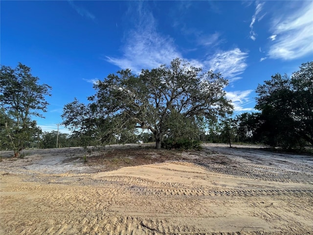 000 NE 100th Ter, Bronson FL, 32621 land for sale