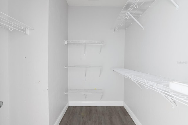 walk in closet with dark hardwood / wood-style floors