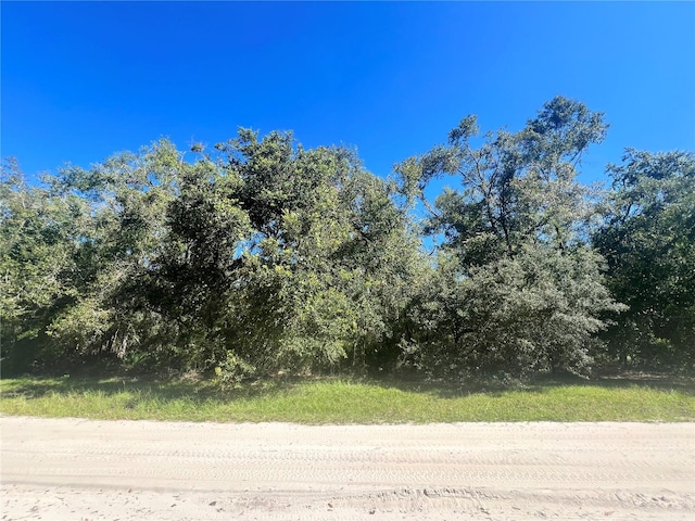 Listing photo 2 for LOT5 206th Trl, Obrien FL 32071