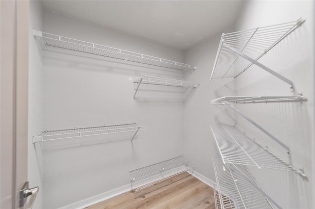 walk in closet featuring wood-type flooring