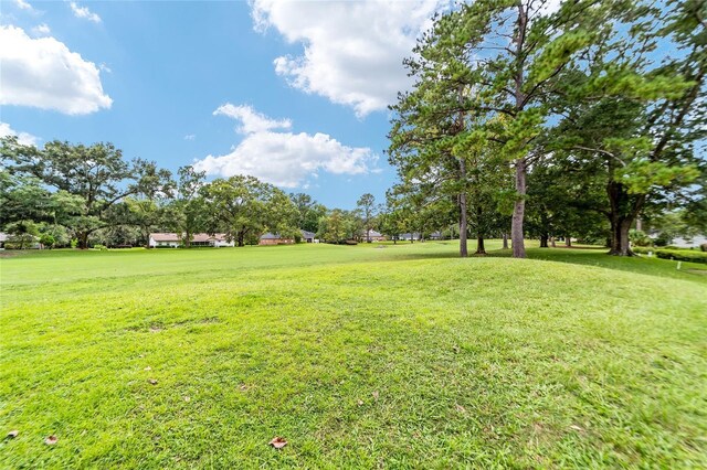 6249 NW 106th Pl, Alachua, FL 32615 - photo 31