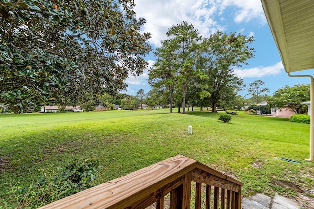 6249 NW 106th Pl, Alachua, FL 32615 - photo 29
