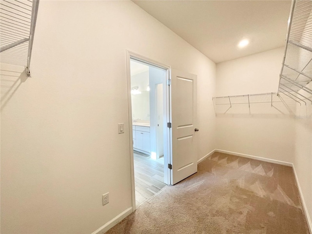 spacious closet featuring carpet floors