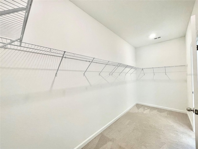 spacious closet featuring carpet floors