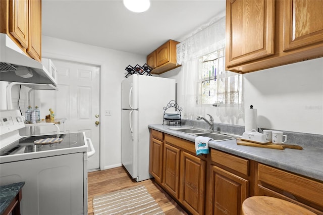 kitchen with light wood-type flooring, white appliances, and sink