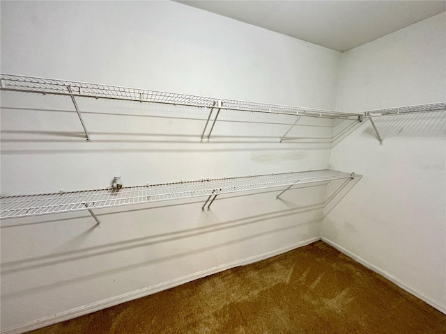 spacious closet with carpet flooring