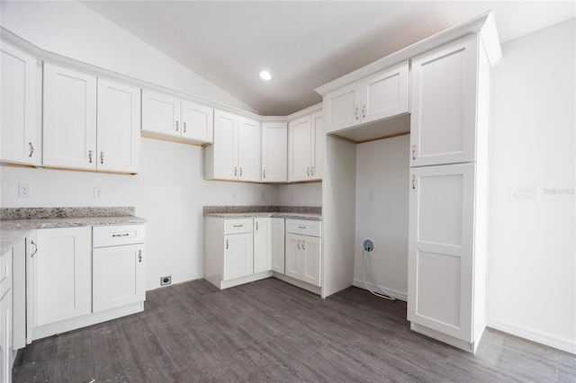 clothes washing area featuring dark wood finished floors and recessed lighting