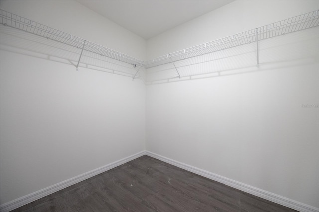 walk in closet with dark wood finished floors