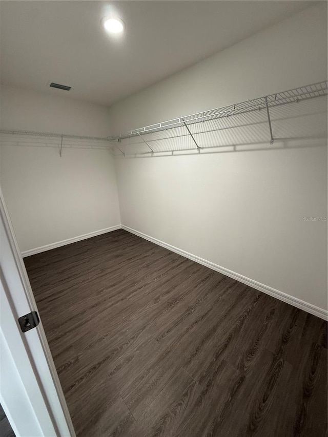 walk in closet featuring dark wood-type flooring