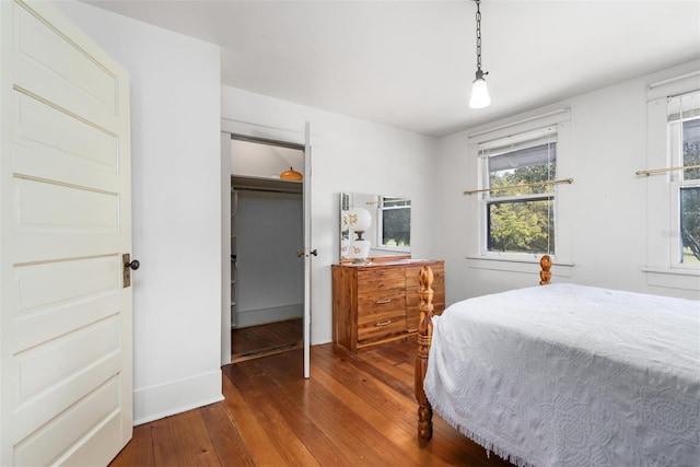 26502 NW 3rd Ave, Newberry, FL 32669 - bedroom with a walk in closet, baseboards, dark wood-type flooring, and a closet
