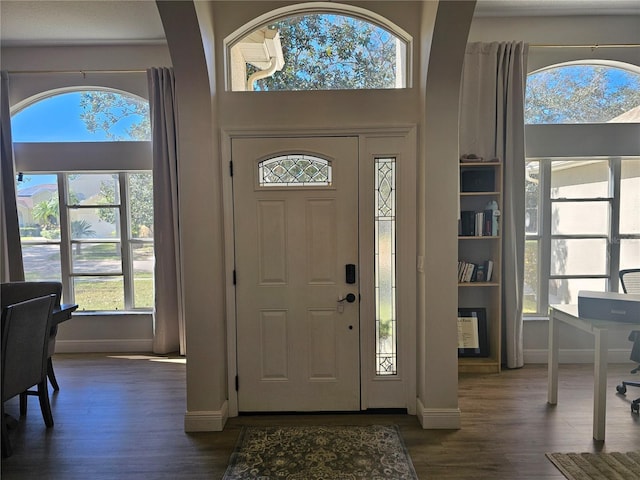 entrance foyer featuring dark hardwood / wood-style floors