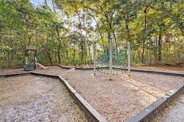 view of jungle gym