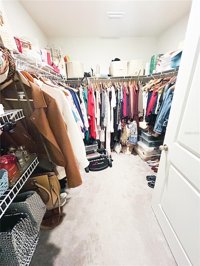 view of spacious closet