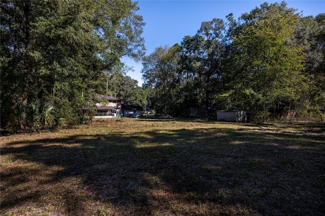 view of yard with a storage shed