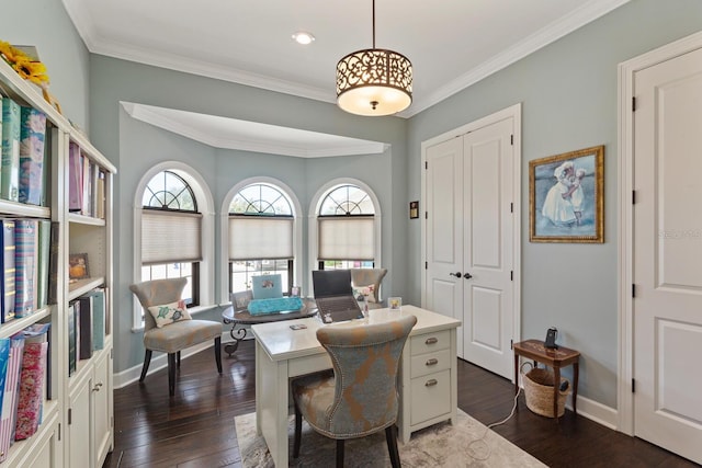 home office featuring crown molding and dark hardwood / wood-style floors