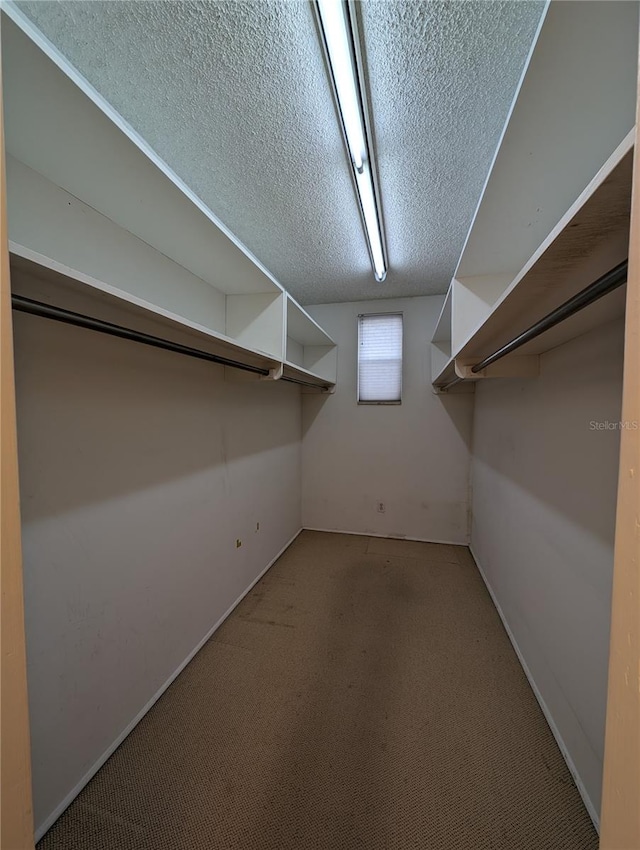 spacious closet featuring light colored carpet