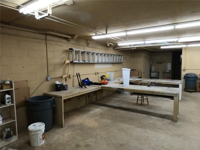 basement with a workshop area