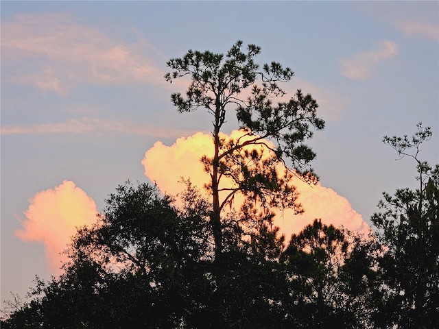 view of nature at dusk