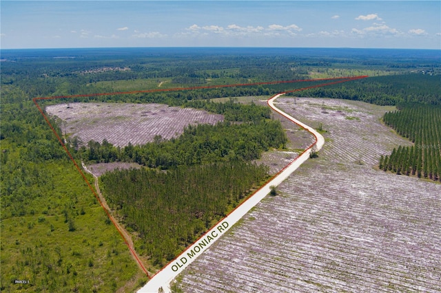 Old Moniac Rd, St George GA, 31562 land for sale