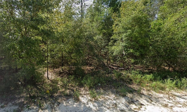 LOT85 NE 83rd Pl, Bronson FL, 32621 land for sale