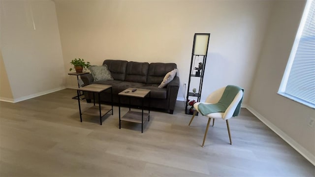 sitting room featuring light wood-type flooring