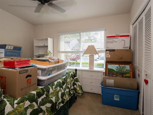 storage with ceiling fan