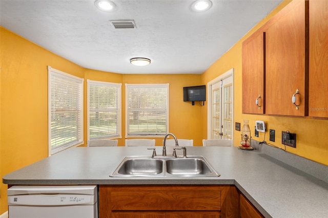 kitchen featuring sink, white dishwasher, and a wealth of natural light