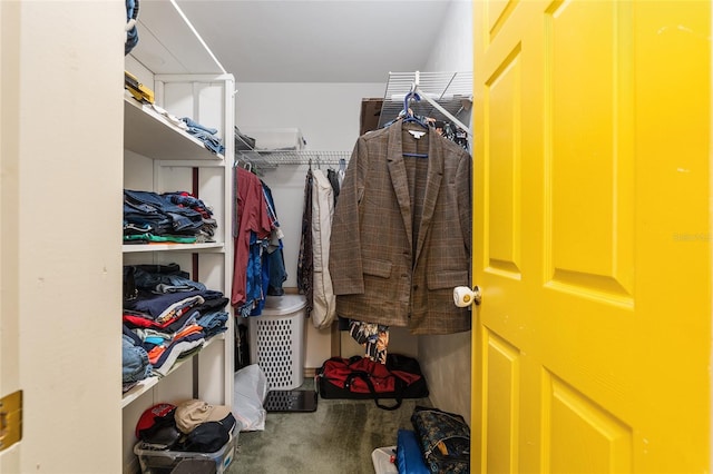 spacious closet featuring carpet floors