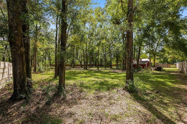 view of yard with a shed