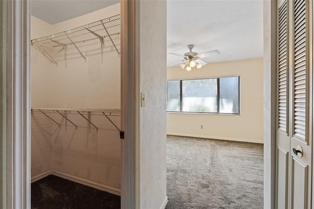 walk in closet featuring carpet floors and ceiling fan