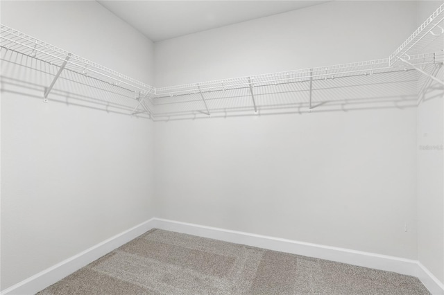 12676 NW 162nd Dr, Alachua, FL 32615 - photo 13