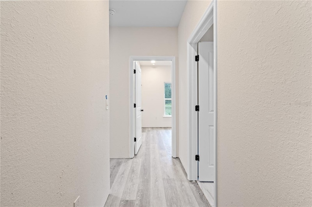 hallway featuring light wood-type flooring