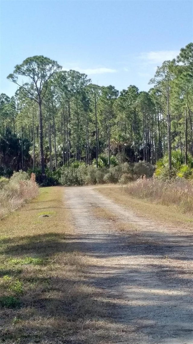 LOT7 SW 104th St, Cedar Key FL, 32625 land for sale