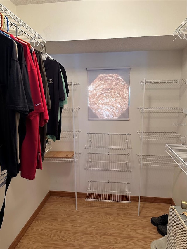 walk in closet with wood-type flooring