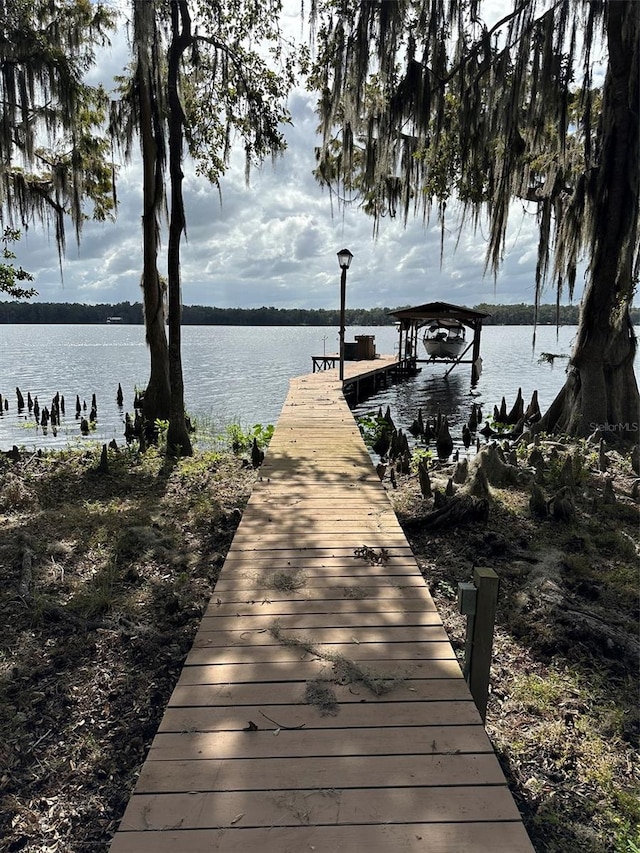 dock area with a water view