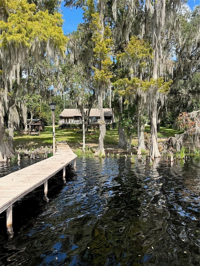 dock area with a water view